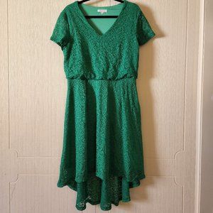 Vintage Green Floral Lace Dress